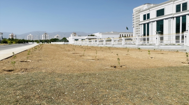 Türkmenistan'da Haydar Aliyev anısına ağaç dikildi