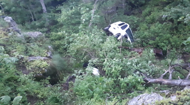 Artvin'de yayla yolunda uçuruma yuvarlanan kamyonetin sürücüsü öldü