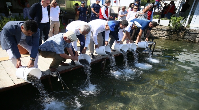 Bodrum'da deniz dibi temizliği yapıldı, 30 bin balık yavrusu denize bırakıldı