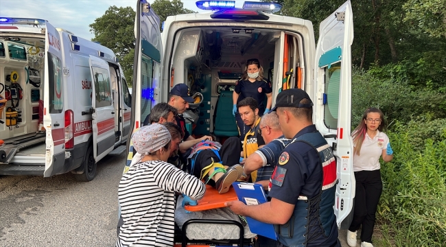 Çanakkale'de düğüne gidenlerin bulunduğu minibüsün devrilmesi sonucu 3 kişi yaralandı