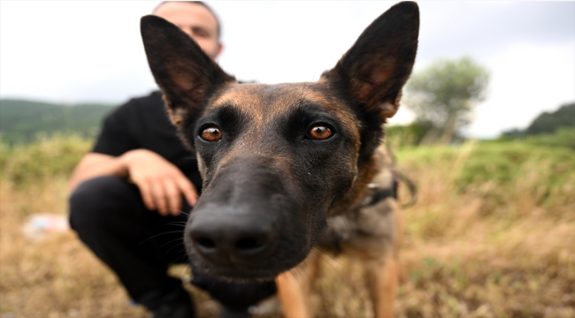 İzmir'de köpekle kros etkinliği düzenlendi