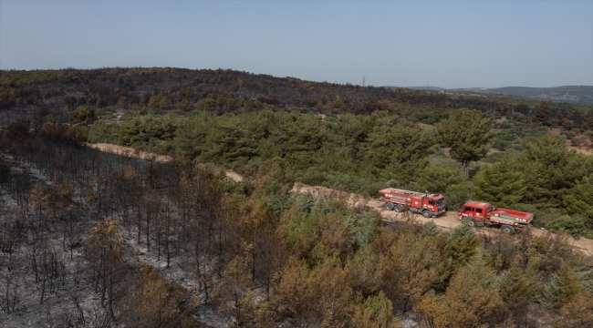 Bakan Yumaklı, İzmir'in Kınık ilçesindeki orman yangınının kontrol altına alındığını bildirdi