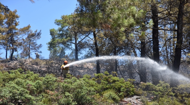 Marmaris'te ormanlık alanda yangın çıktı