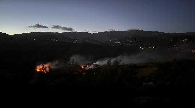 Kahramanmaraş'ta çıkan orman yangınına müdahale ediliyor