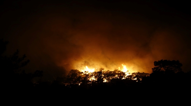 Antalya'nın Kemer ilçesinde orman yangını çıktı