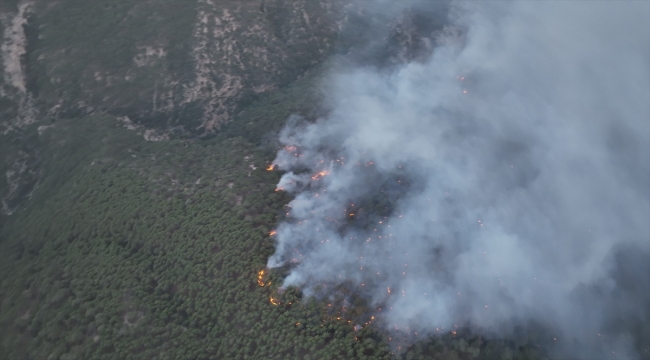 Bolu'da yıldırım düşmesi sonucu çıkan orman yangını kontrol altına alındı