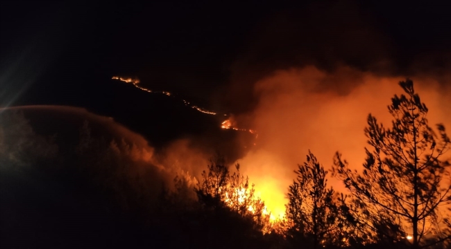 Mersin Gülnar'da orman yangını