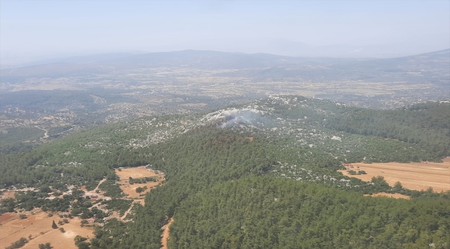 Milas'ta ormanlık alanda çıkan yangın kontrol altına alındı