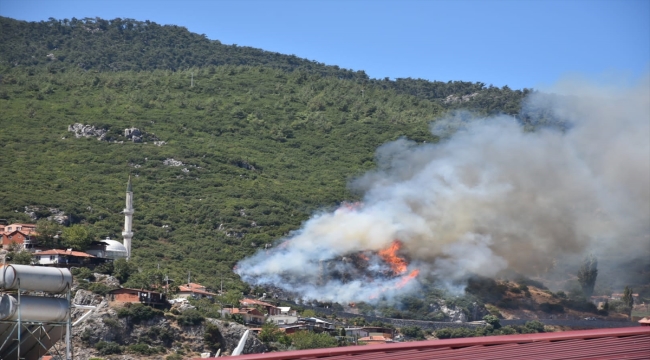 İzmir'in Kemalpaşa ilçesinde orman yangını çıktı