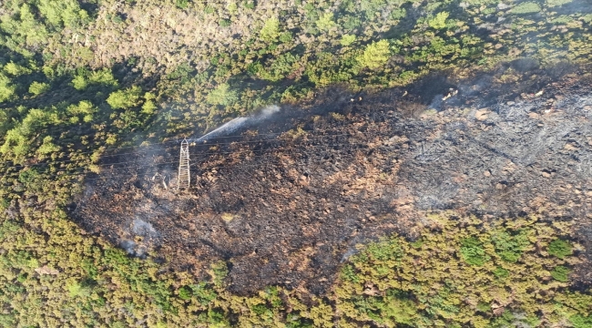 Marmaris'te çıkan orman yangını havadan ve karadan müdahaleyle söndürüldü