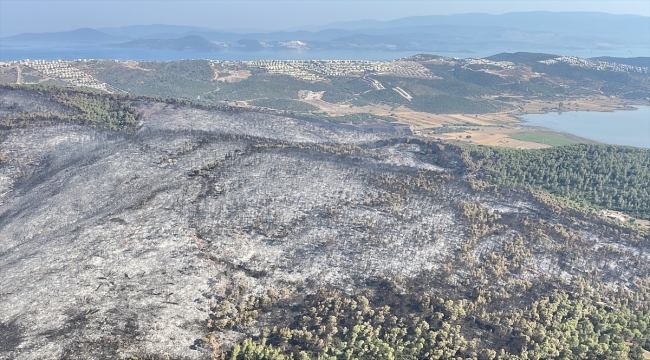 Tarım ve Orman Bakan Yardımcısı Tiryaki, Muğla'da yanan alanları havadan inceledi: