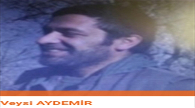 Bitlis'te biri turuncu kategoride aranan 4 terörist etkisiz hale getirildi