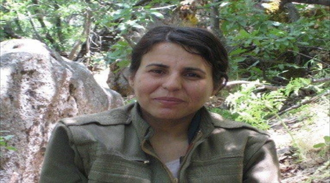 Gri kategoride aranan PKK'lı terörist Bitlis'te etkisiz hale getirildi