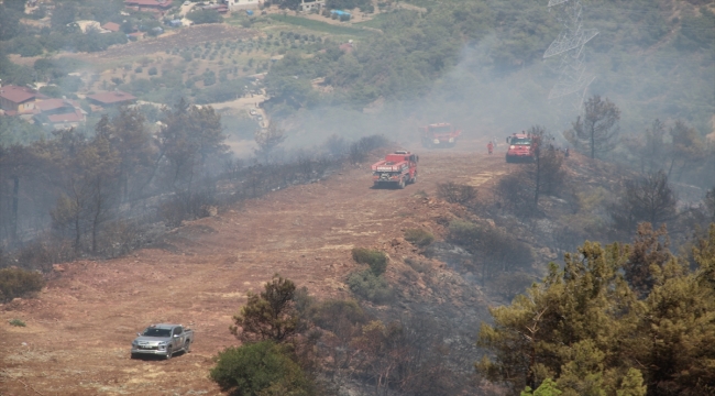 Hatay'da çıkan orman yangını kontrol altına alındı