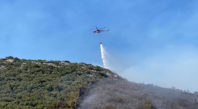 Antalya'nın Kaş ilçesinde makilik alanda çıkan yangın kontrol altına alındı