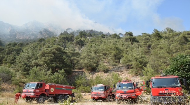 Bilecik'te çıkan orman yangınına müdahale ediliyor