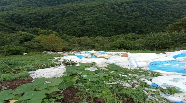 Kocaeli'de ormanlık alana dökülen tıbbi sarf malzemeleri temizlendi