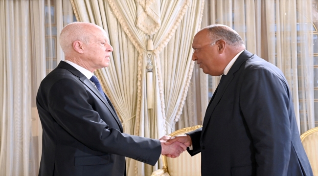 Tunus Cumhurbaşkanı Said, Mısır Dışişleri Bakanı Şukri ile ikili ilişkileri görüştü