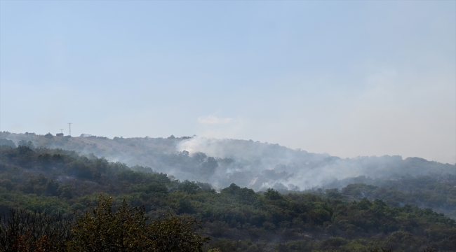 Türkiye - Bulgaristan sınırında çıkan organ yangınına müdahale ediliyor