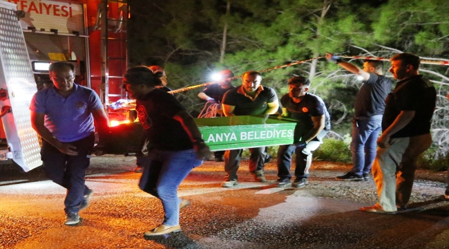 Alanya'da uçuruma yuvarlanmış araçta boğazı kesilmiş ceset bulundu