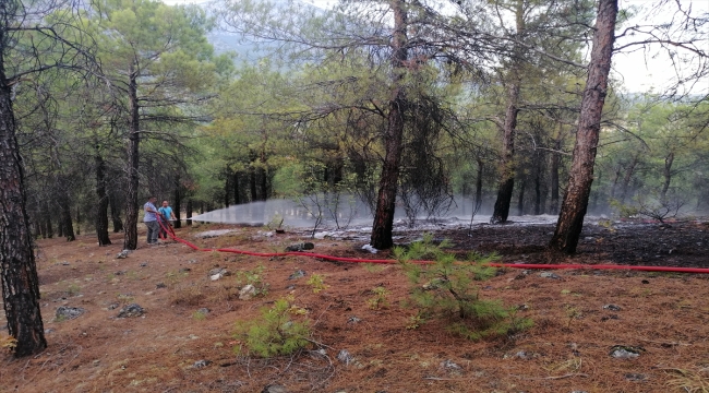 Çorum'da ormanlık alanda çıkan örtü yangını söndürüldü