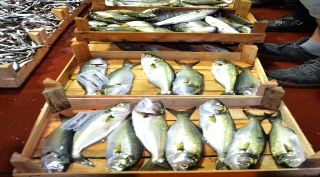 Ereğli Balık Hali'nde yeni sezonun ilk mezadı yapıldı