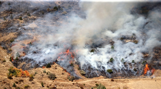 Sivas'ta otluk ve ağaçlık alanda çıkan yangın söndürüldü
