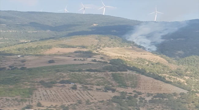 Hatay'da çıkan orman yangını kontrol altına alındı