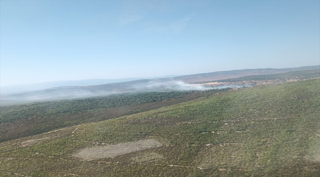 İzmir Foça'da orman yangını çıktı