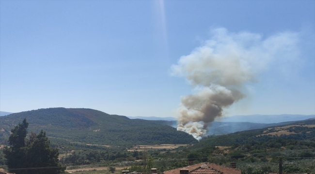 Manisa'nın Soma ilçesinde orman yangını çıktı