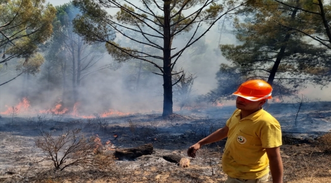 Muğla'da dün yıldırımlar 36 yerde yangına neden oldu 