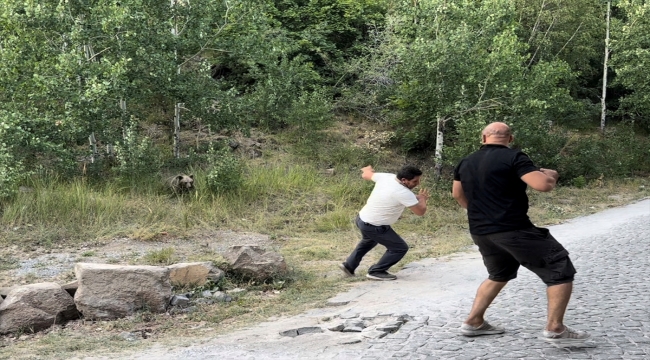 Nemrut Kalderası'na gelen ziyaretçilere bozayıları elle beslememeleri uyarısı