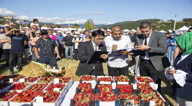 Sakarya'da Çilek Festivali düzenlendi