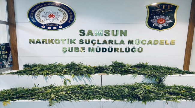 Samsun'daki uyuşturucu operasyonunda 3 zanlı yakalandı