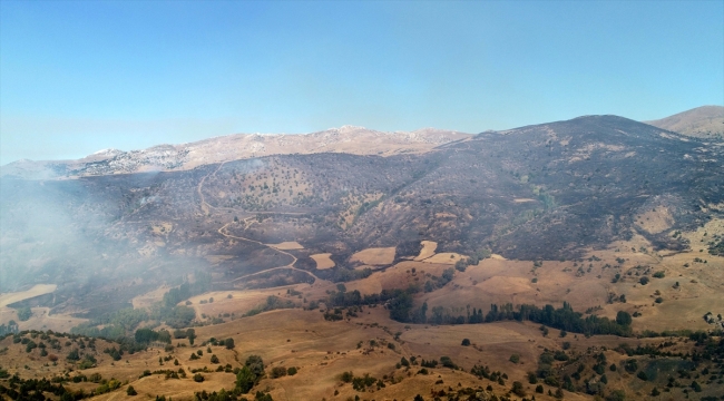 Sivas'ta otluk ve ağaçlık alanda çıkan yangın söndürülmeye çalışılıyor