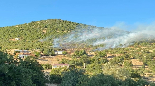 Tunceli'de ormanlık alanda çıkan yangın söndürüldü