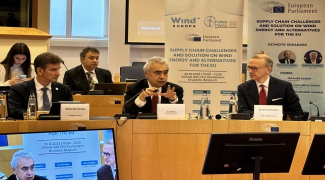 Avrupa Türkiye'yi rüzgar enerjisi sektöründe güvenilir partner olarak görüyor