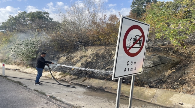 Edirne'de sınır kapısı yolu kenarında başlayıp ağaçlık alana sıçrayan yangın söndürüldü