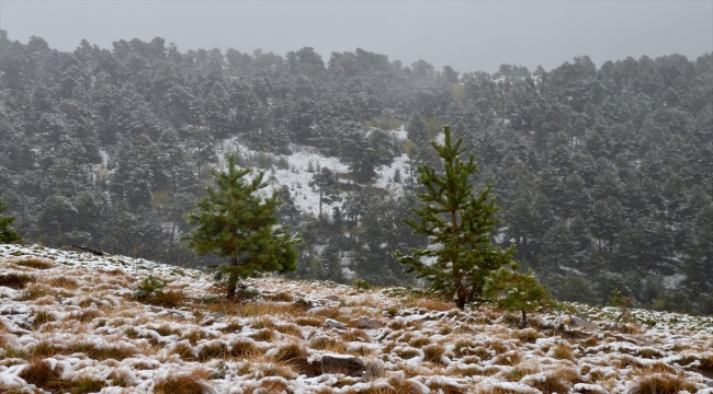 Kars'ın yüksek kesimleri mevsimin ilk karıyla beyaza büründü