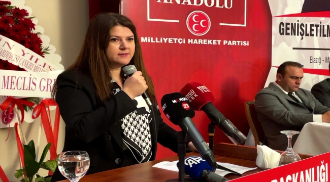 MHP Genel Başkan Yardımcısı Yılık, Elazığ'da Bölge İstişare Toplantısı'nda konuştu