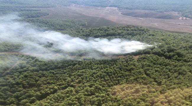 Muğla'da çıkan orman yangını söndürüldü