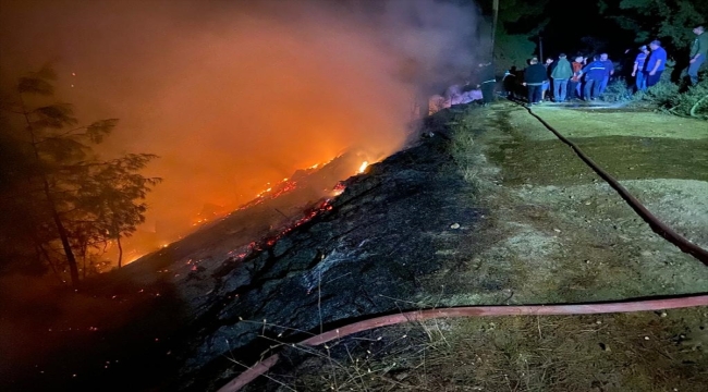 Muğla'da orman yangını başladı