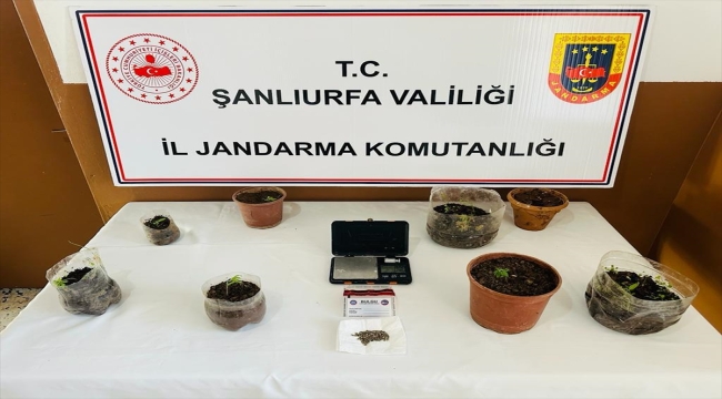 Şanlıurfa'da silah kaçakçılığı operasyonunda 4 şüpheli yakalandı