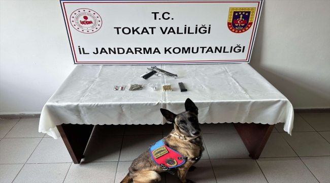 Tokat'ta jandarma aranan 47 kişiyi yakaladı