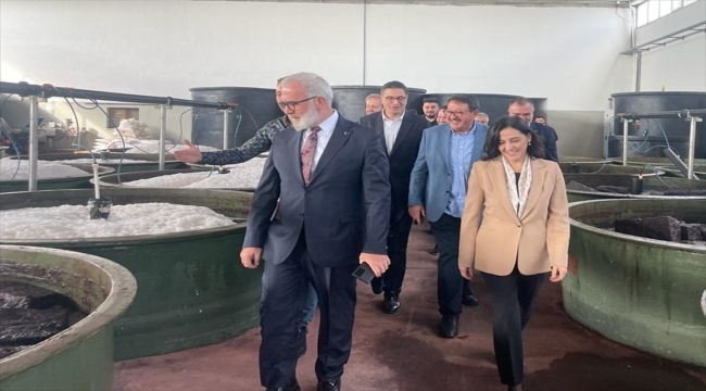 AK Parti Grup Başkanvekili Yenişehirlioğlu, Manisa'da zeytin üreticileriyle buluştu
