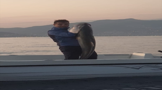 Alanya'da amatör balıkçı, olta ile 1 metre 60 santimetre uzunluğunda Akya tuttu