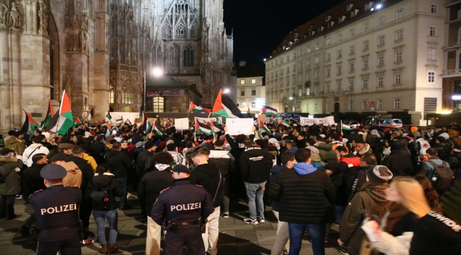 Avusturya'da İsrail'in Gazze'deki saldırılarının sonlandırılması için gösteriler düzenlendi