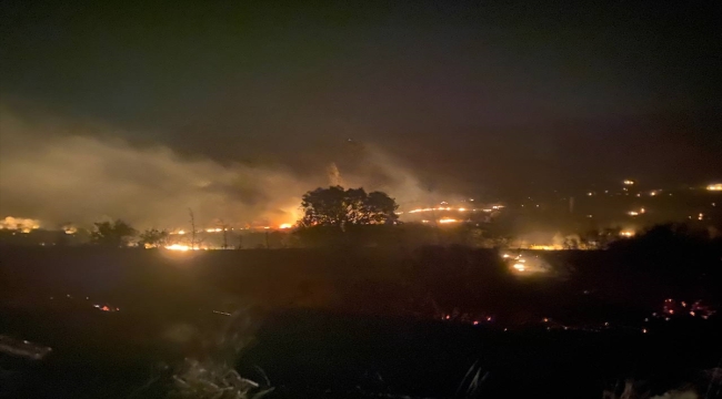 Balıkesir'in Kepsut ilçesinde çıkan orman yangınına müdahale ediliyor