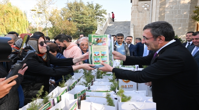 Cumhurbaşkanı Yardımcısı Yılmaz, Milli Ağaçlandırma Günü dolayısıyla fidan dikti: 