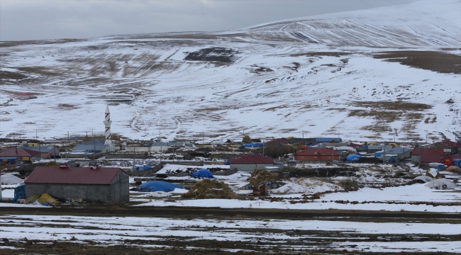 Erzurum ve Ardahan il merkezi ile Kars'ın yüksekleri karla kaplandı